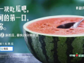 酒吧吃瓜爆料图片大全,揭秘娱乐圈幕后故事