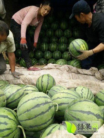 山东最新吃瓜爆料视频,揭秘神秘事件背后的真相